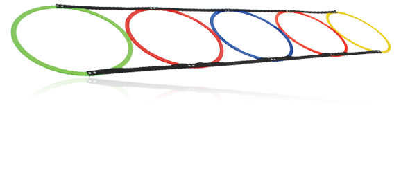 IAAF approved agility & training equipments agility ring & hoops track & field bhalla sports